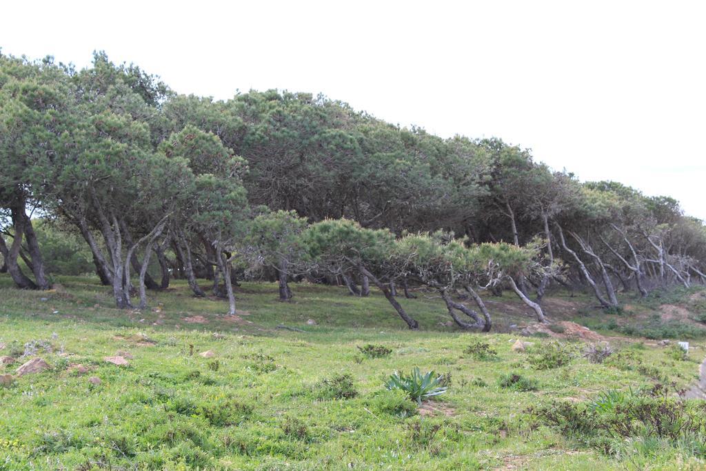 Villa Boa Vista Sul - Terra Da Eira - Raposeira 维拉多比斯坡 外观 照片